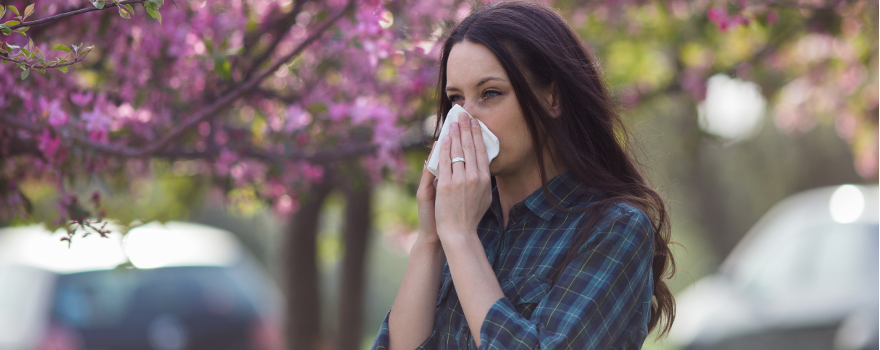 Tengo alergia estacional… ¡Achís!