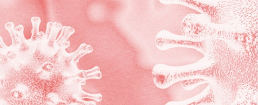 Informació d'interès sobre Coronavirus SARS CoV-2
