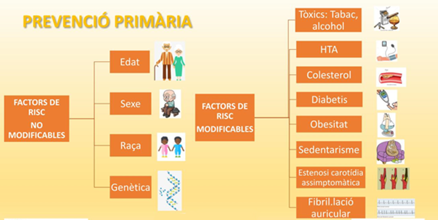 Què són els Factors de Risc Vascular (FRV)?