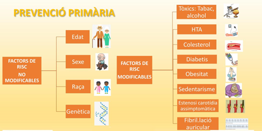 ¿Qué son los Factores de Riesgo Vascular (FRV)?