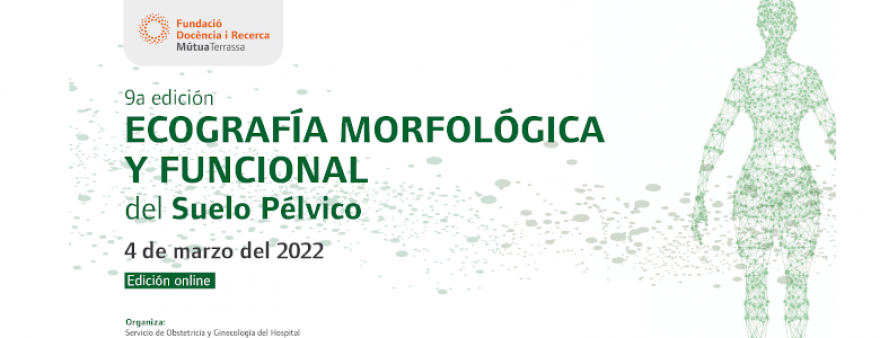 El servicio de Ginecología y Obstetricia organiza la novena edición del curso de Ecografía Morfológica y Funcional del Suelo Pelvico