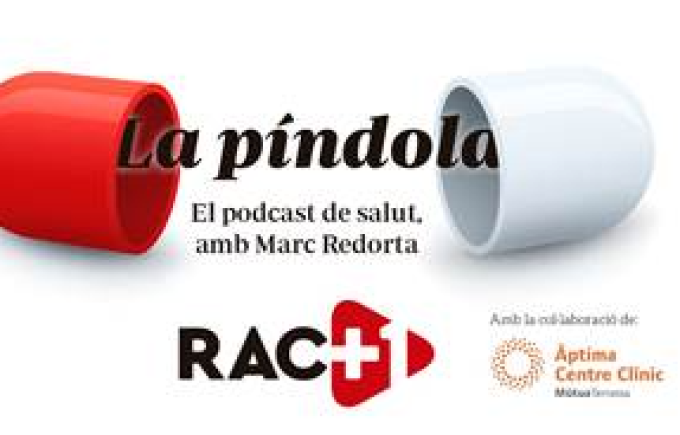 Actes i celebracions