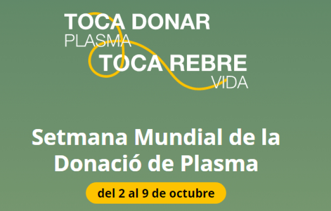 Som notícia