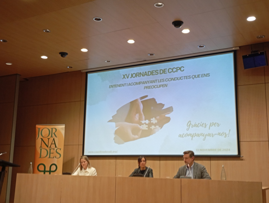 La Fundació Vallparadís participa en les XV Jornades Coordinadora de Centres per a Persones amb discapacitat intel·lectual de Catalunya