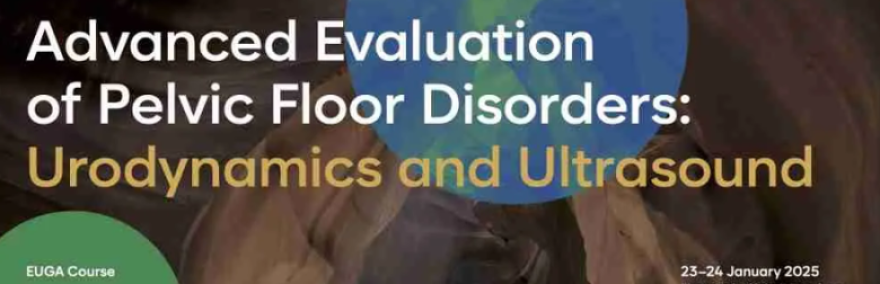 El Dr. Jordi Cassadó intervé en el curs Advanced Evaluation of Pelvic Floor Disorders: Urodynamics and Ultrasound