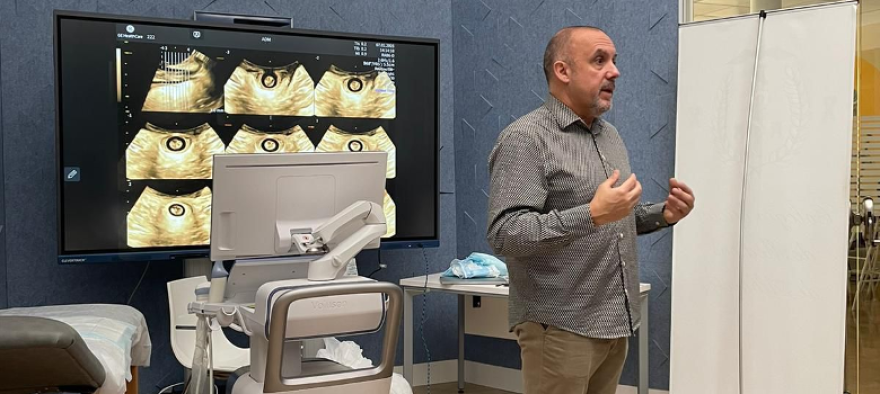 Activitat de la Unitat de sòl pelvià del servei de Ginecologia i Obstetrícia