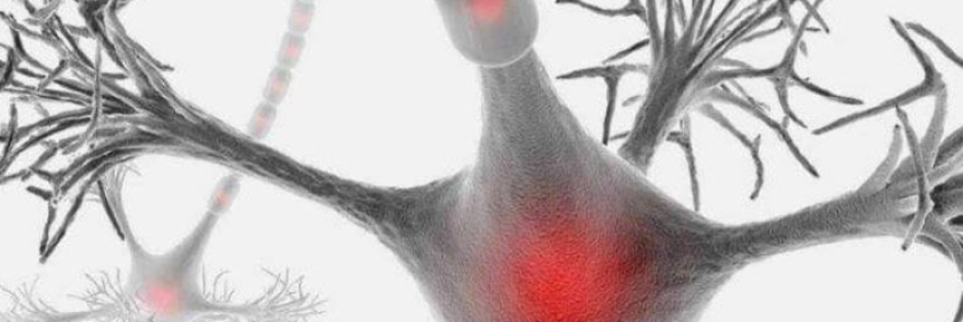 Los servicios de Neurología y Rehabilitación participan en la IV Jornada del Vallés sobre Esclerosis Múltiple